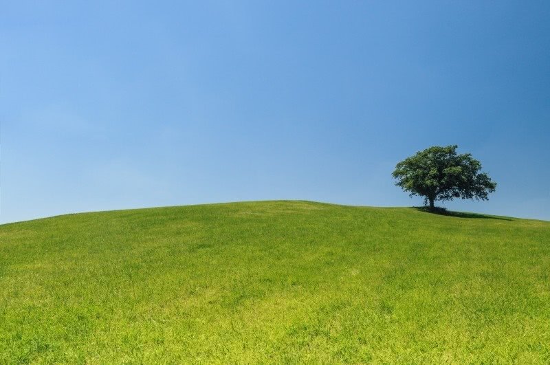 zmiany klimatyczne